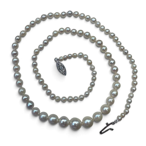 Vintage Mikimoto Graduated Pearl Strand N.1852